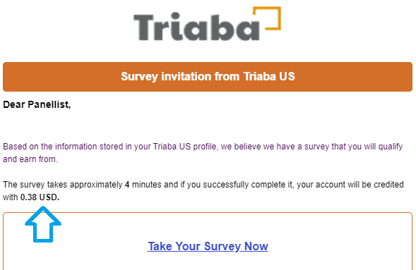 triaba surveys review