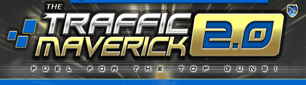 Traffic Maverick 2.0 review
