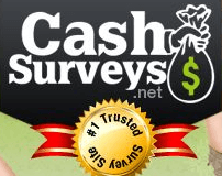 cashsurveys.net review