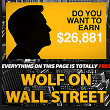 wolf on wall street scam review