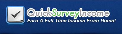 quick survey income review
