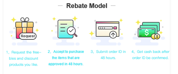 Review Rebate Amazon